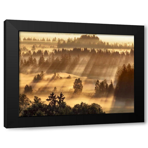 Fog impression at Sindelbachfilz, Bavaria, Germany Black Modern Wood Framed Art Print with Double Matting by Krahmer, Frank