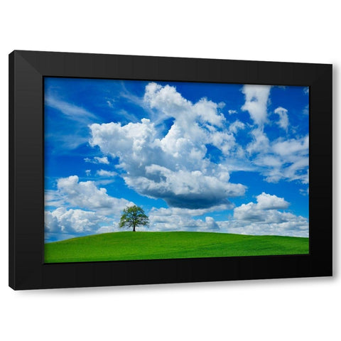 Oak and clouds, Bavaria, Germany Black Modern Wood Framed Art Print by Frank, Krahmer