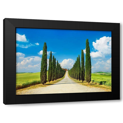 Cypress alley- San Quirico dOrcia- Tuscany Black Modern Wood Framed Art Print with Double Matting by Krahmer, Frank