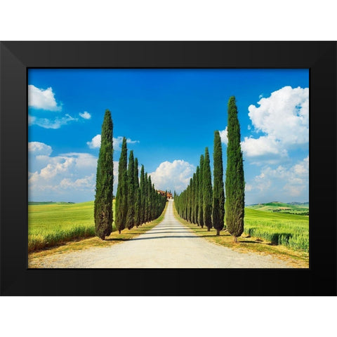 Cypress alley- San Quirico dOrcia- Tuscany Black Modern Wood Framed Art Print by Krahmer, Frank