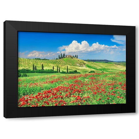 Farmhouse with Cypresses and Poppies- Val dOrcia- Tuscany  Black Modern Wood Framed Art Print with Double Matting by Krahmer, Frank