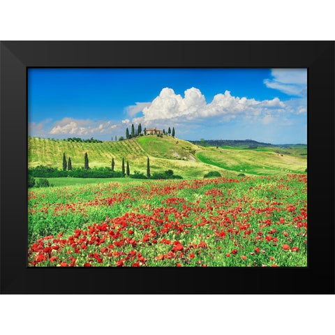 Farmhouse with Cypresses and Poppies- Val dOrcia- Tuscany  Black Modern Wood Framed Art Print by Krahmer, Frank