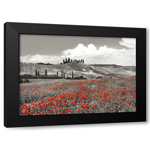 Farmhouse with Cypresses and Poppies- Val dOrcia- Tuscany (BW) Black Modern Wood Framed Art Print with Double Matting by Krahmer, Frank