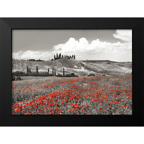 Farmhouse with Cypresses and Poppies- Val dOrcia- Tuscany (BW) Black Modern Wood Framed Art Print by Krahmer, Frank