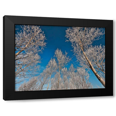 Sottozero Black Modern Wood Framed Art Print by Ferrua, Fulvio