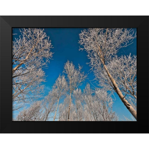 Sottozero Black Modern Wood Framed Art Print by Ferrua, Fulvio