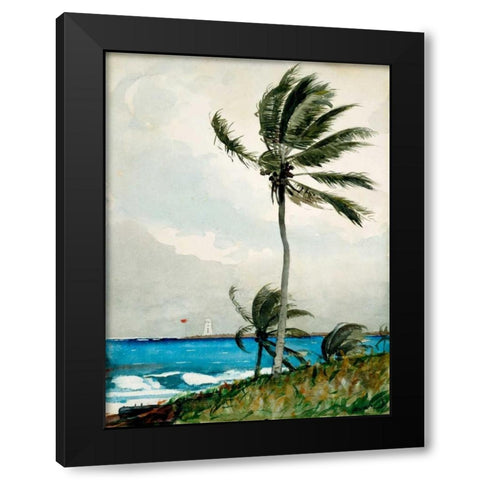 Palm Tree, Nassau Black Modern Wood Framed Art Print with Double Matting by Homer, Winslow
