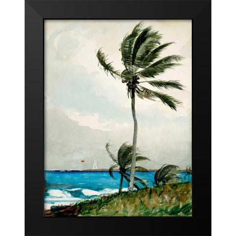 Palm Tree, Nassau Black Modern Wood Framed Art Print by Homer, Winslow