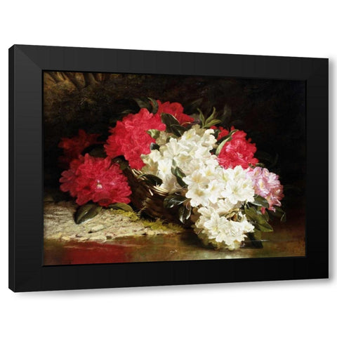 Azaleas Black Modern Wood Framed Art Print with Double Matting by Fitz Marshall, John