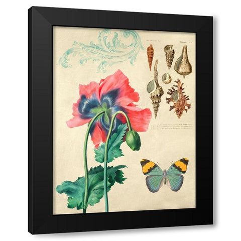 Cabinet of Curiosities n. 3 Black Modern Wood Framed Art Print with Double Matting by Joannoo