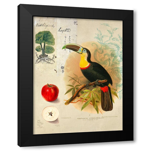 Cabinet of Curiosities n. 4 Black Modern Wood Framed Art Print with Double Matting by Joannoo