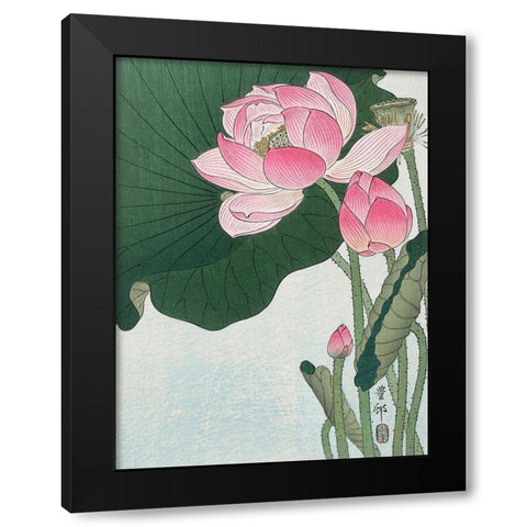 Blooming lotus flowers Black Modern Wood Framed Art Print with Double Matting by Koson, Ohara