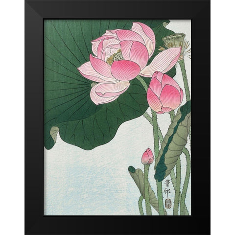 Blooming lotus flowers Black Modern Wood Framed Art Print by Koson, Ohara