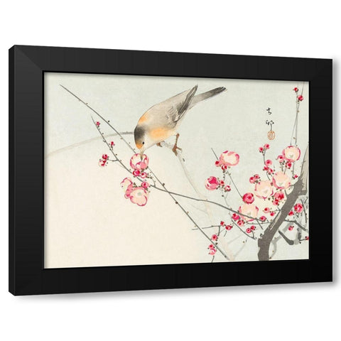 Songbird on blossom Branch Black Modern Wood Framed Art Print by Koson, Ohara