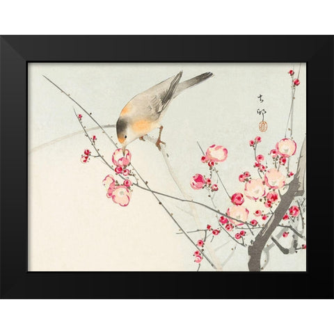 Songbird on blossom Branch Black Modern Wood Framed Art Print by Koson, Ohara