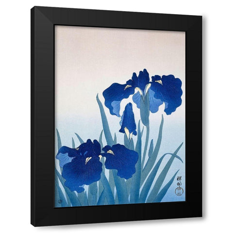Iris flowers Black Modern Wood Framed Art Print with Double Matting by Koson, Ohara