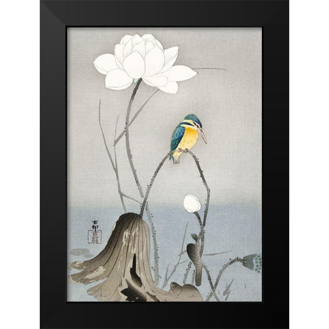 Kingfisher with Lotus Flower Black Modern Wood Framed Art Print by Koson, Ohara