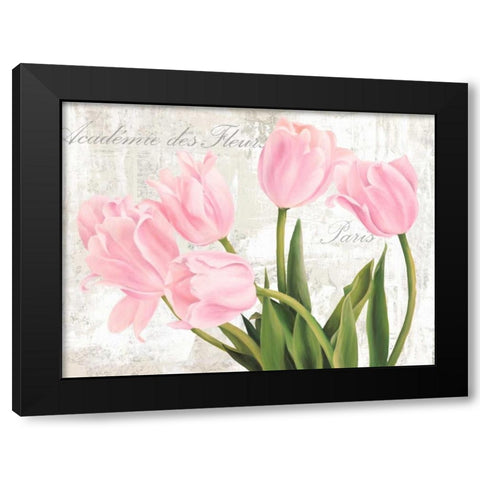 Academie des Fleurs Black Modern Wood Framed Art Print with Double Matting by Thomlinson, Jenny
