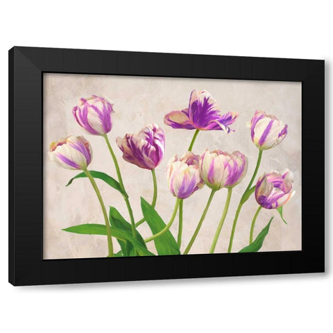 Tulipes Black Modern Wood Framed Art Print by Thomlinson, Jenny