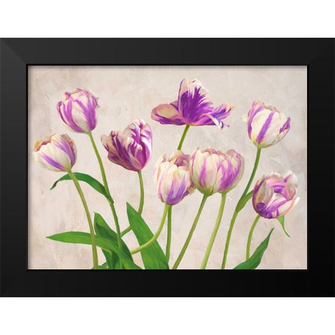 Tulipes Black Modern Wood Framed Art Print by Thomlinson, Jenny