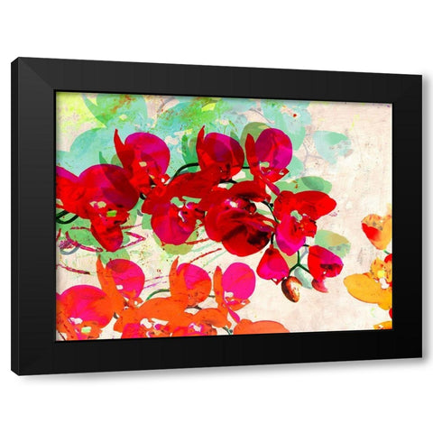 Orchidreams Black Modern Wood Framed Art Print by Kelly, Parr