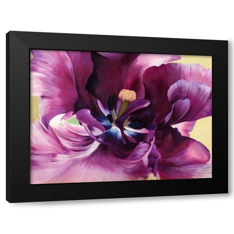 Purple tulip close-up Black Modern Wood Framed Art Print with Double Matting by Villa, Luca