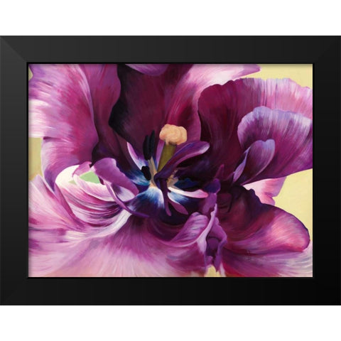 Purple tulip close-up Black Modern Wood Framed Art Print by Villa, Luca