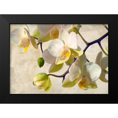 Orchid in the sun Black Modern Wood Framed Art Print by Villa, Luca