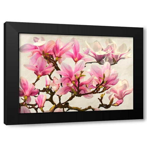 Magnolia Branch - neutral Black Modern Wood Framed Art Print by Villa, Luca