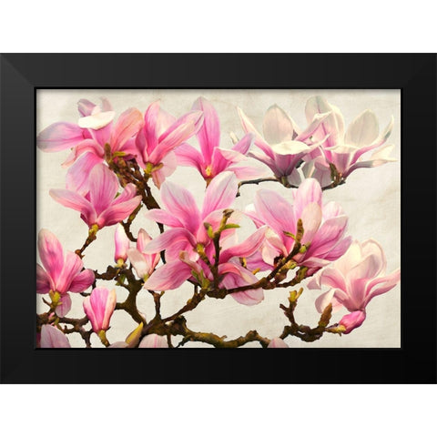 Magnolia Branch - neutral Black Modern Wood Framed Art Print by Villa, Luca