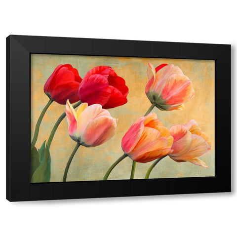 Golden Tulips (detail) Black Modern Wood Framed Art Print with Double Matting by Villa, Luca