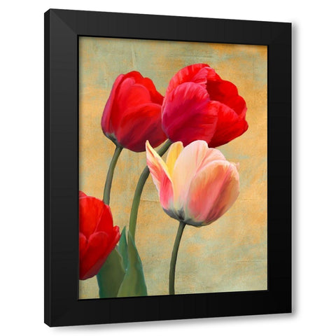 Ruby Tulips Black Modern Wood Framed Art Print with Double Matting by Villa, Luca