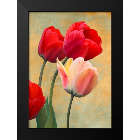 Ruby Tulips Black Modern Wood Framed Art Print by Villa, Luca