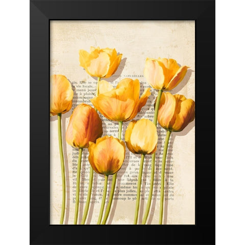 Tulipes et Histoires Black Modern Wood Framed Art Print by Villa, Luca
