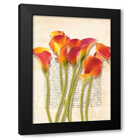 Callas et Histoires Black Modern Wood Framed Art Print with Double Matting by Villa, Luca