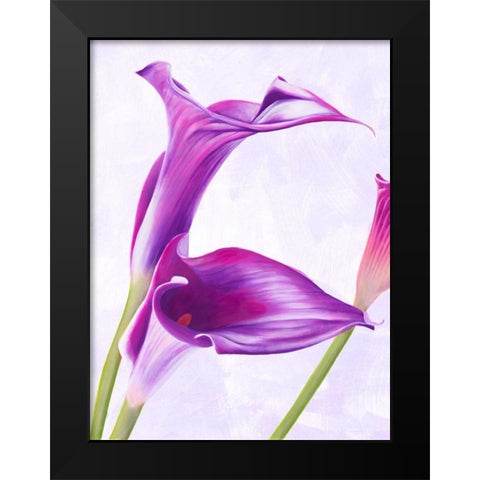 Duet I Black Modern Wood Framed Art Print by Villa, Luca