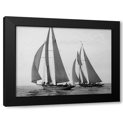 Sailboats Race during Yacht Club Cruise Black Modern Wood Framed Art Print with Double Matting by Levick, Edwin