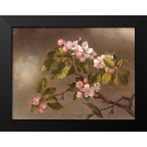 Hummingbird and Apple Blossoms  Black Modern Wood Framed Art Print by Heade, Martin Johnson