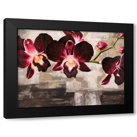 Velvet Orchids Black Modern Wood Framed Art Print by Mills, Shin