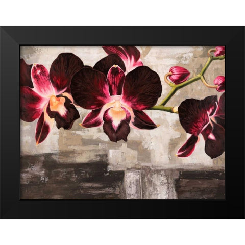Velvet Orchids Black Modern Wood Framed Art Print by Mills, Shin