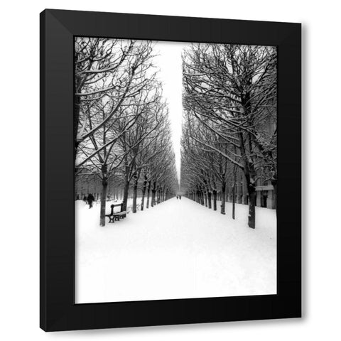 The Tuileries Garden under the snow, Paris Black Modern Wood Framed Art Print with Double Matting by Setboun, Michel