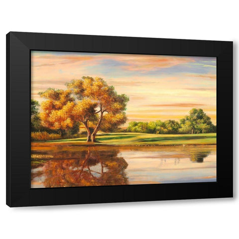 Riflessi sul lago (detail) Black Modern Wood Framed Art Print by Angelo, Masera