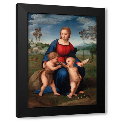 Madonna del cardellino Black Modern Wood Framed Art Print by Raffaello