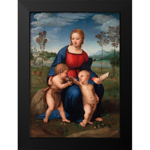 Madonna del cardellino Black Modern Wood Framed Art Print by Raffaello
