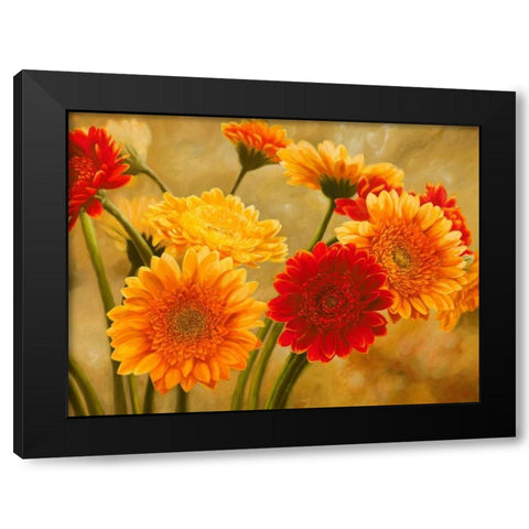 Gerbere nel sole Black Modern Wood Framed Art Print with Double Matting by Biffi, Serena