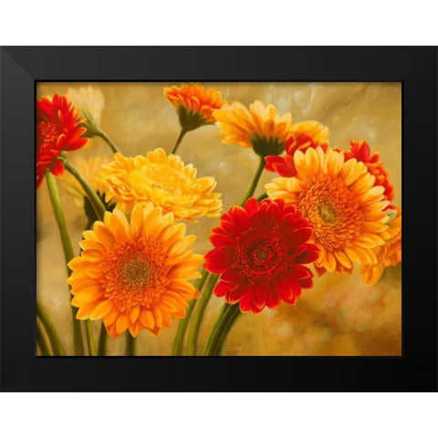 Gerbere nel sole Black Modern Wood Framed Art Print by Biffi, Serena