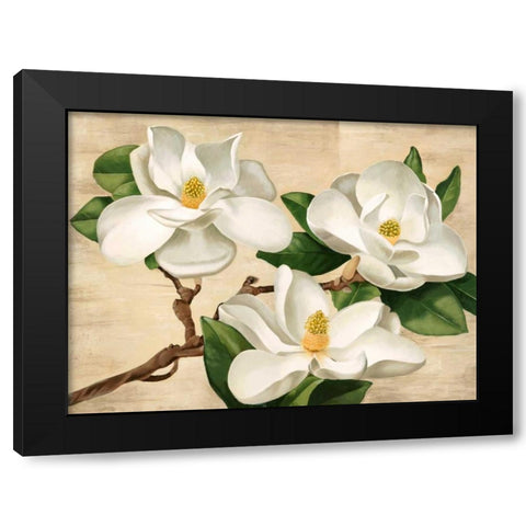 Magnolie bianche Black Modern Wood Framed Art Print with Double Matting by Biffi, Serena