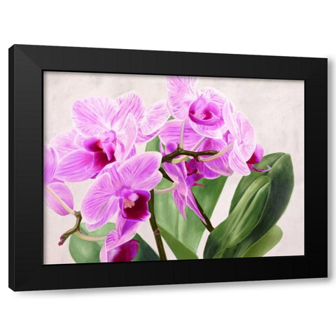 Orchidee selvagge Black Modern Wood Framed Art Print by Jannace, Sergio