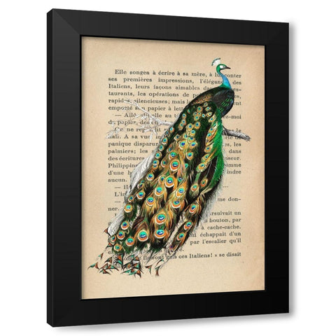 Indian peafowl- After DOrbigny Black Modern Wood Framed Art Print with Double Matting by Lamanche, Stef