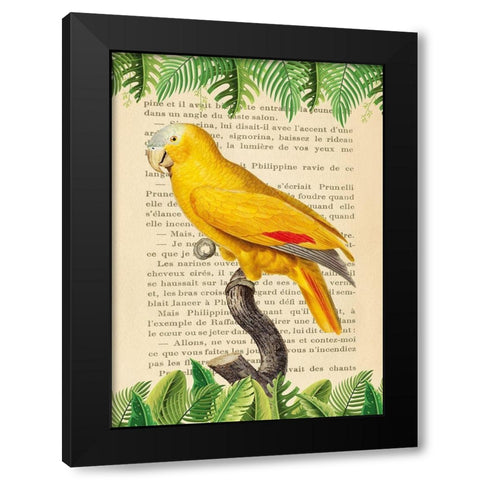 The Blue-Fronted Parrot- After Levaillant Black Modern Wood Framed Art Print with Double Matting by Lamanche, Stef